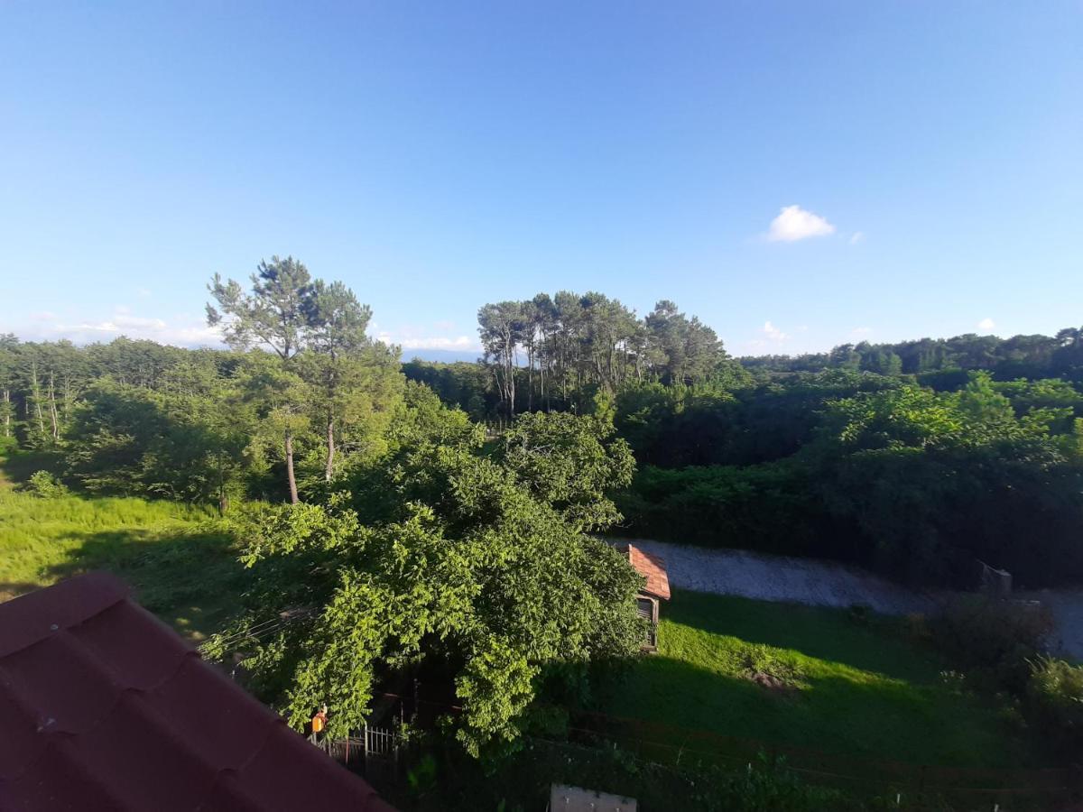 Shekvetili+ Hotel Ngoại thất bức ảnh